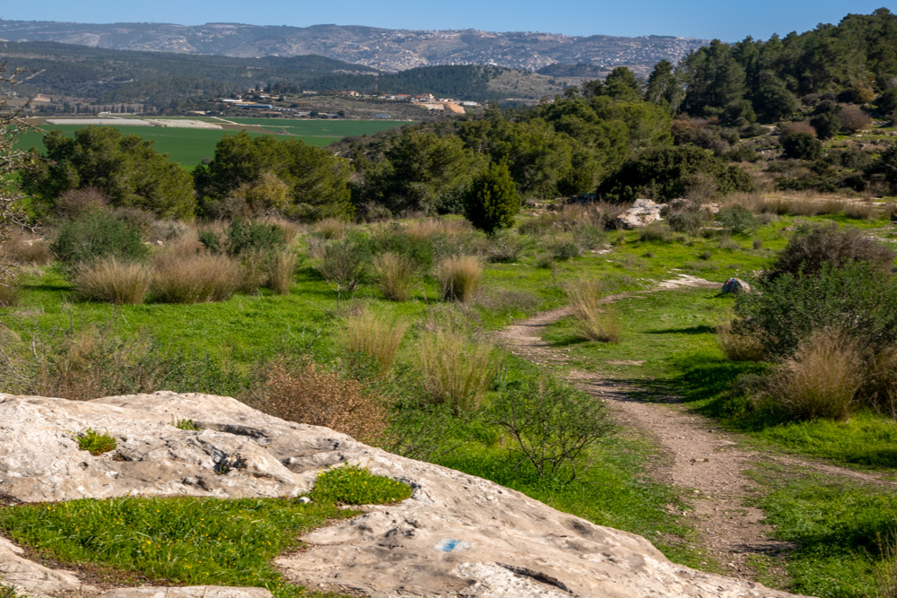 Valley of Elah